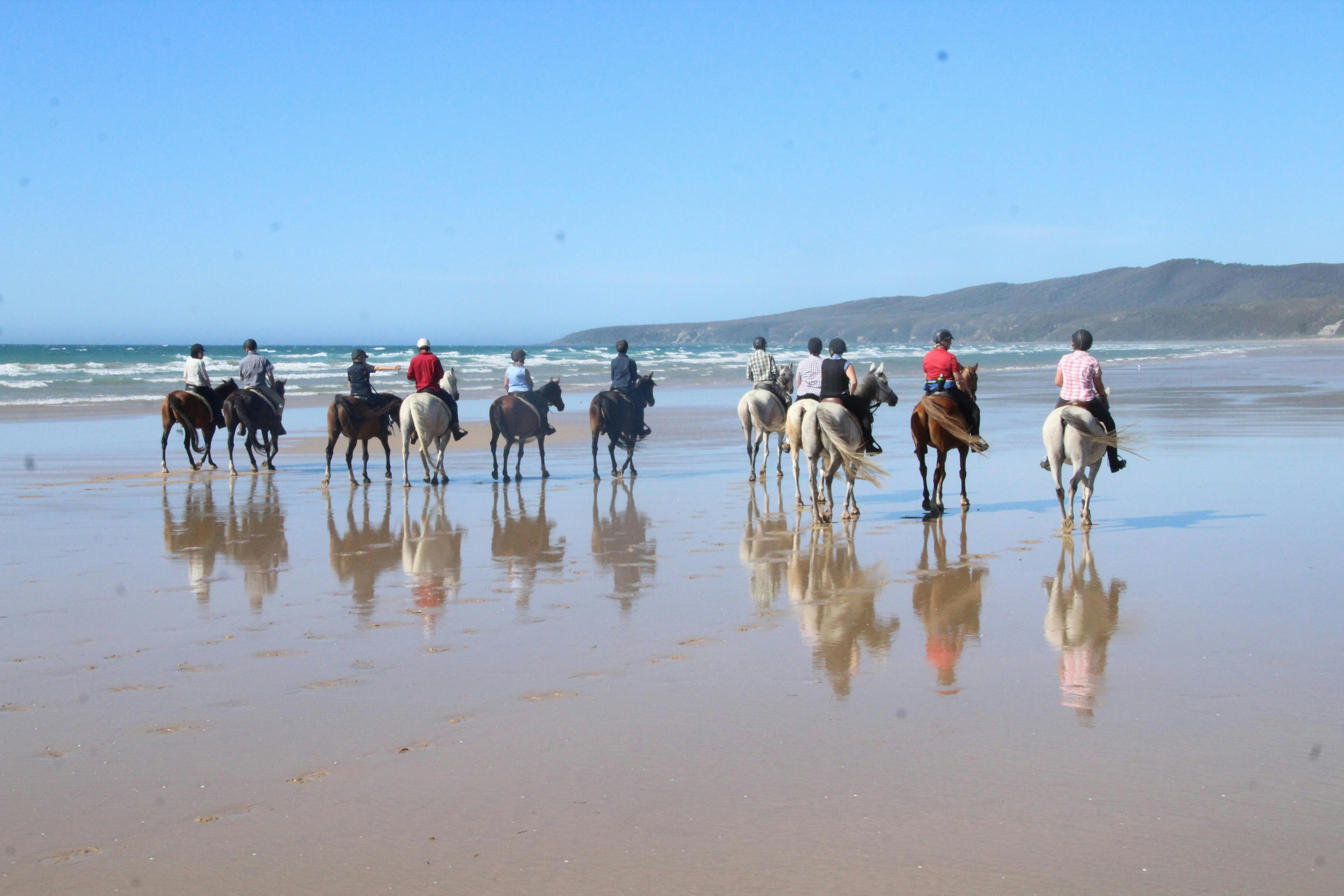 beach riding