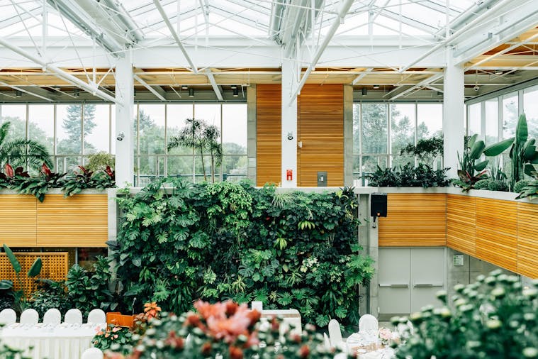 Rooftop Gardens and Green Walls