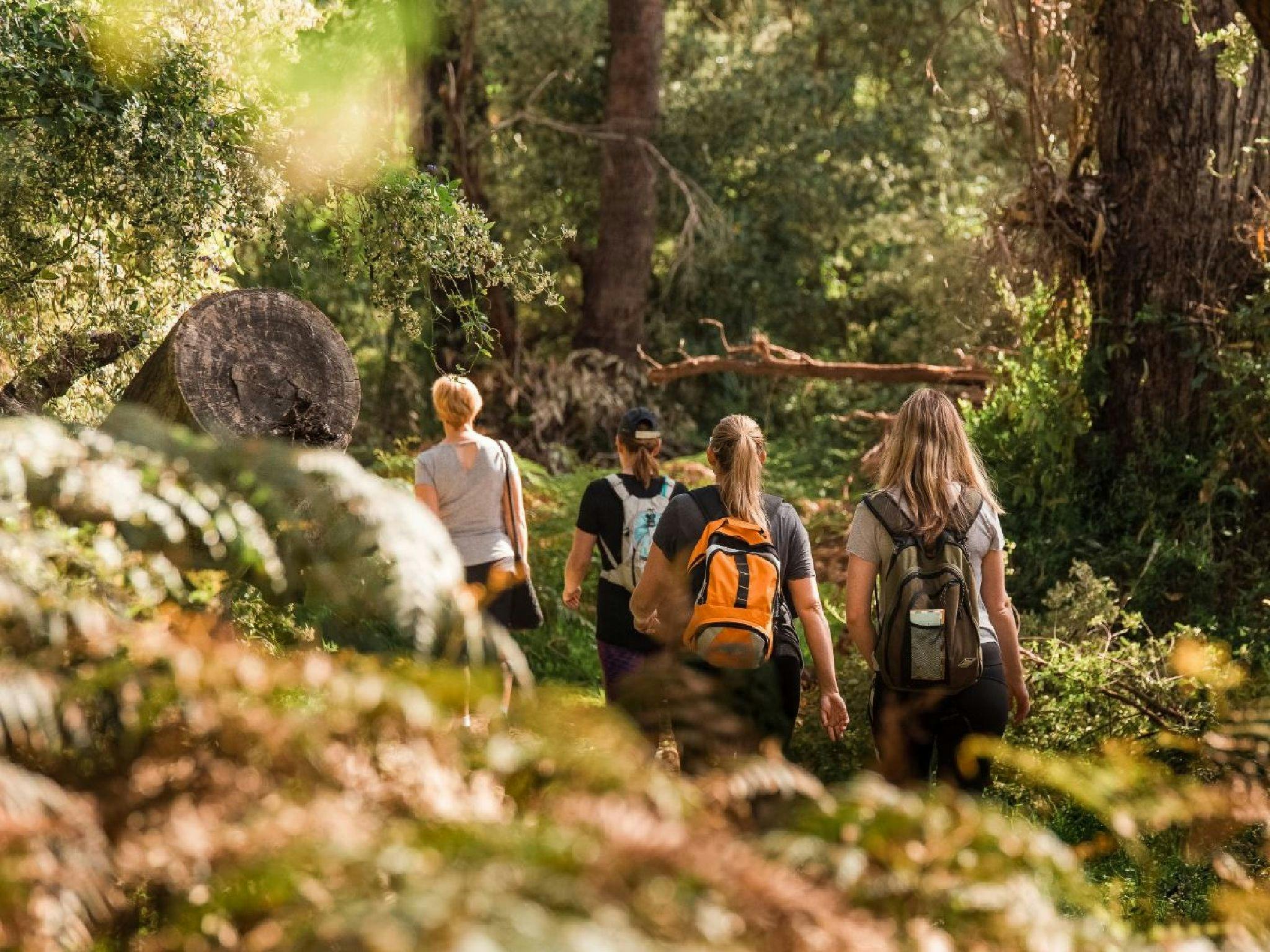 The Hike Collective, Parkerville, Western Australia