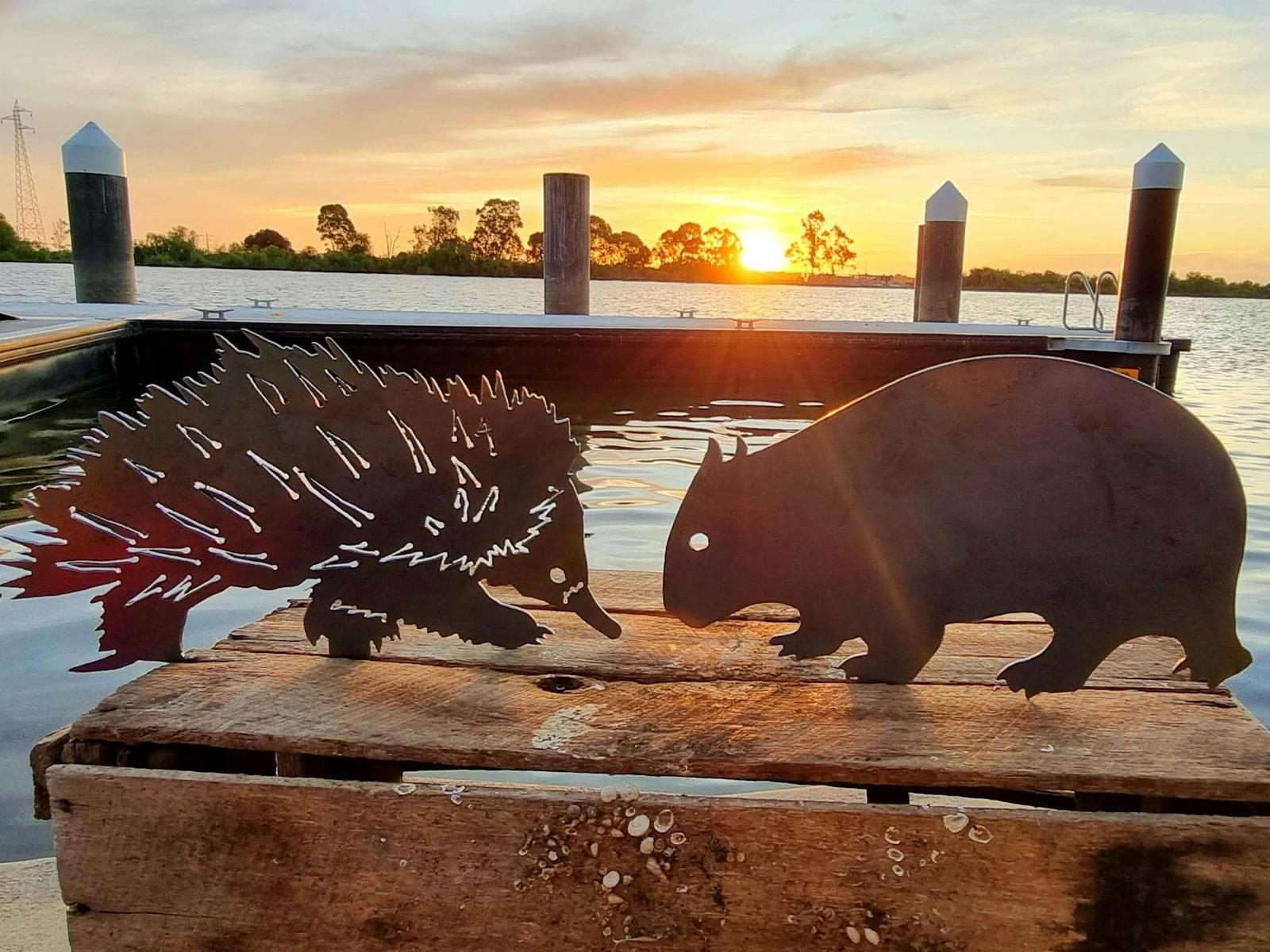 Metal Echidna and Wombat Garden stakes by the River Murray