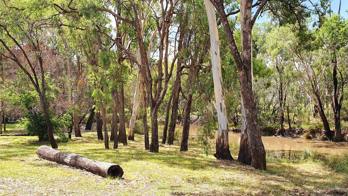 Nature site