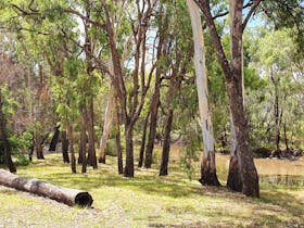 Clover Hill Accommodation & Camping