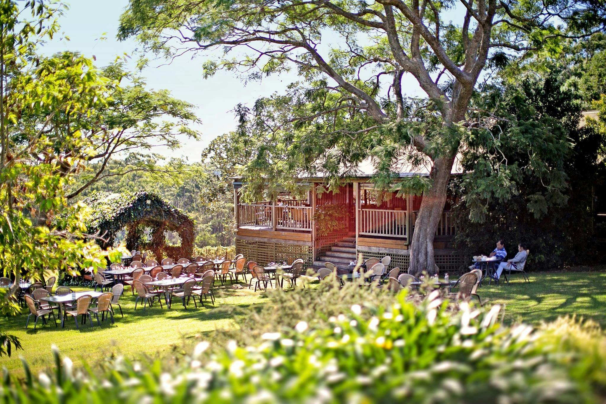 Vineyard Mélodie Port Macquarie