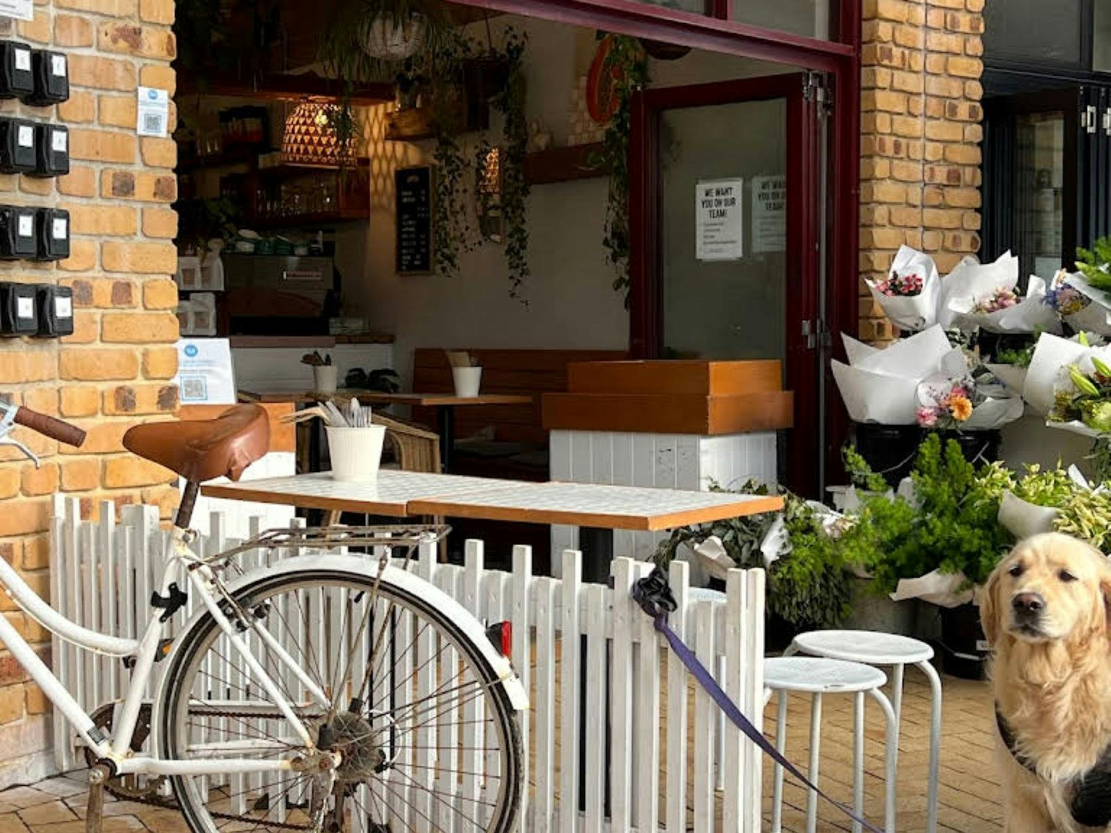 Papaya cafe Lennox head