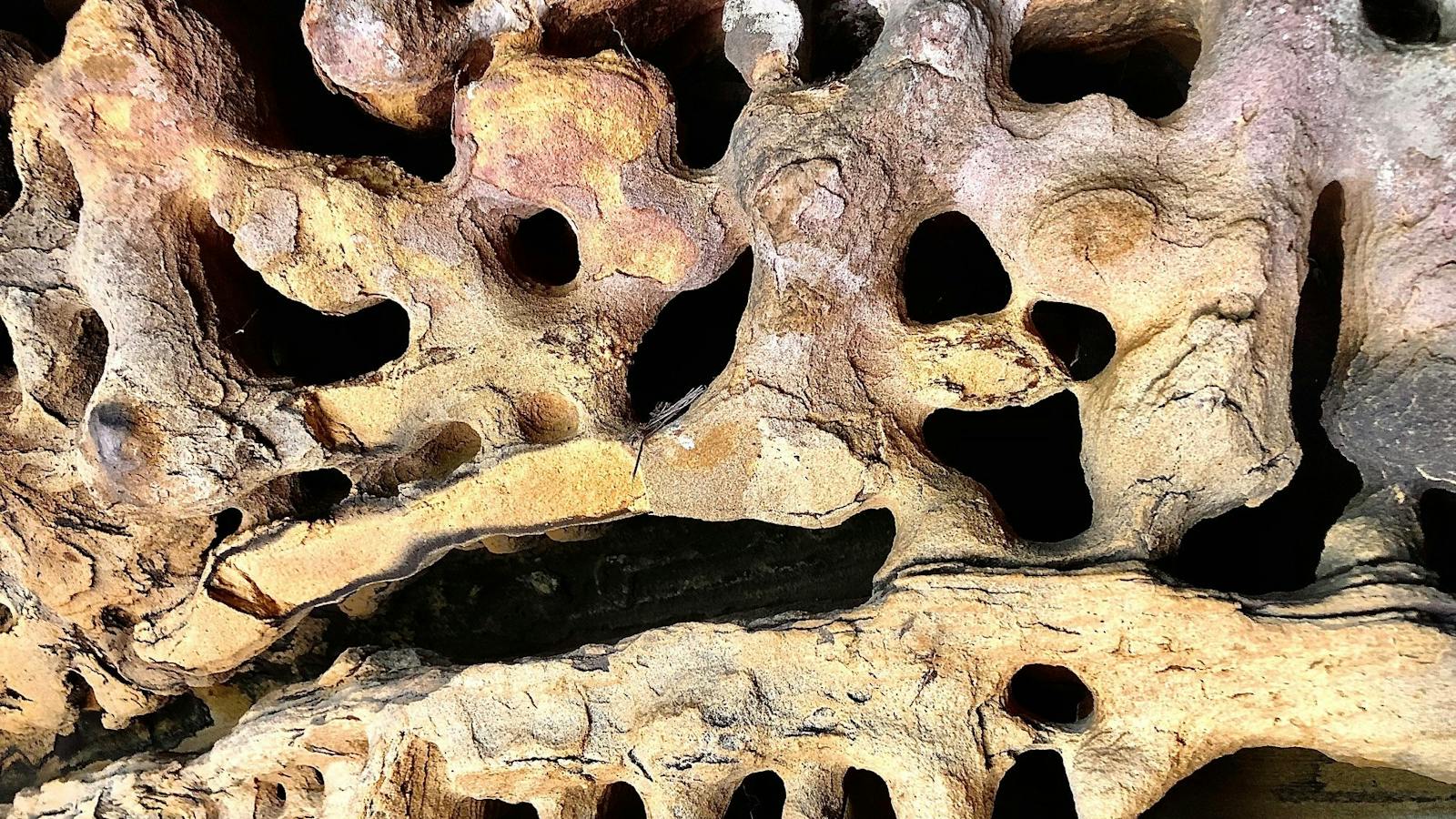 Weathered stone