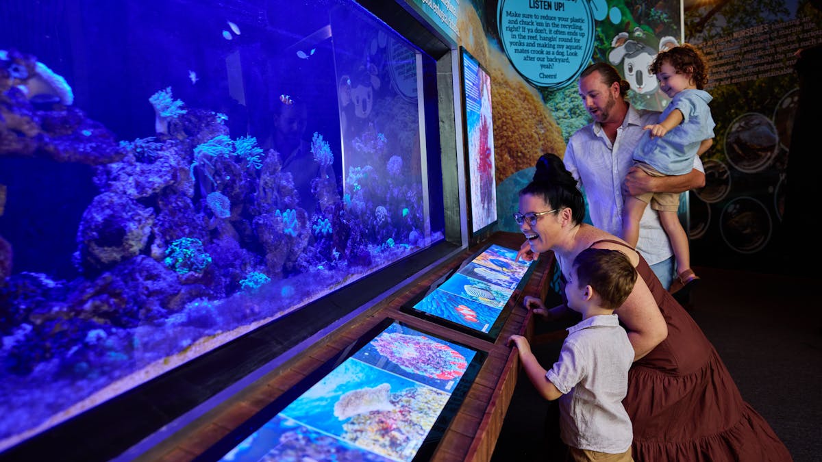 A family of four looking at fish and coral in a tropical fish tank, Cairns Koalas & Creatures