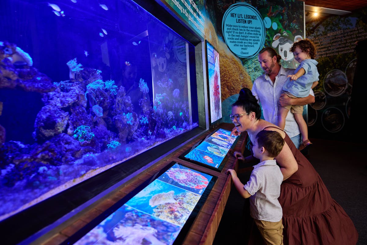 A family of four looking at fish and coral in a tropical fish tank, Cairns Koalas & Creatures