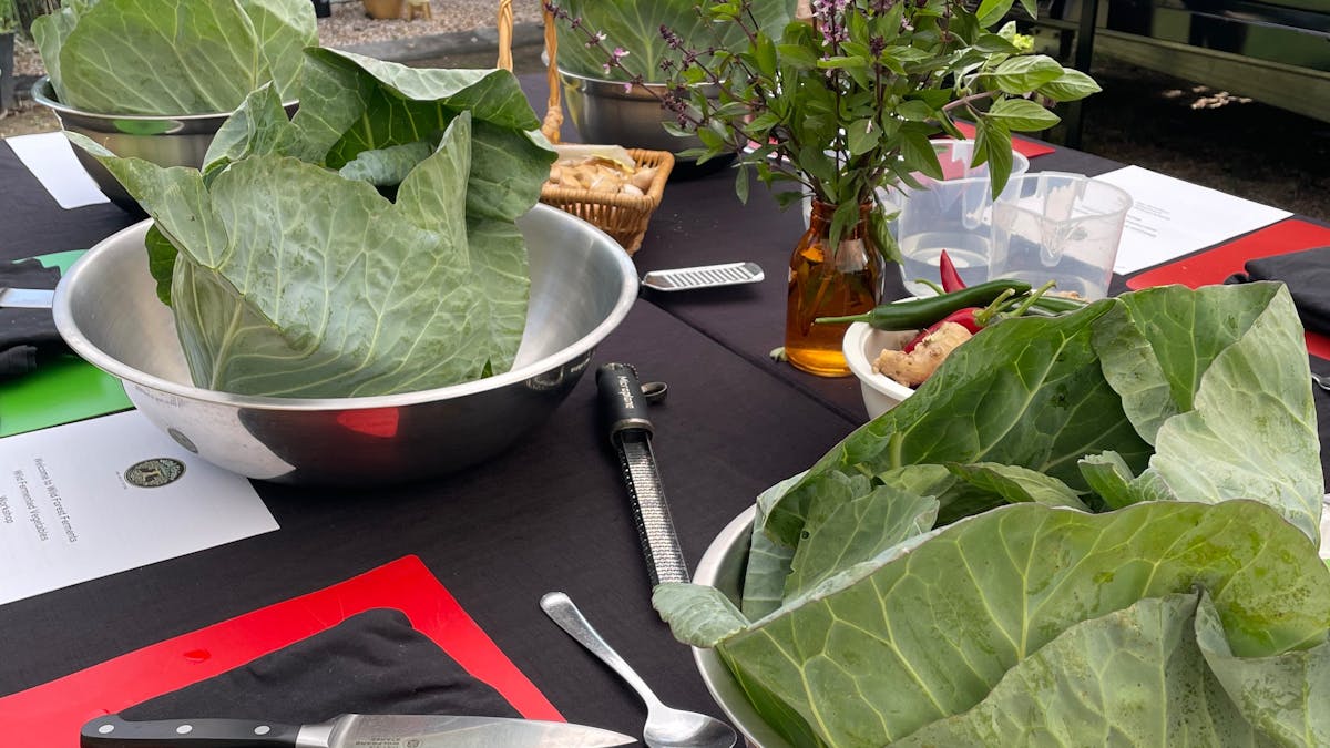Fermentation workshop