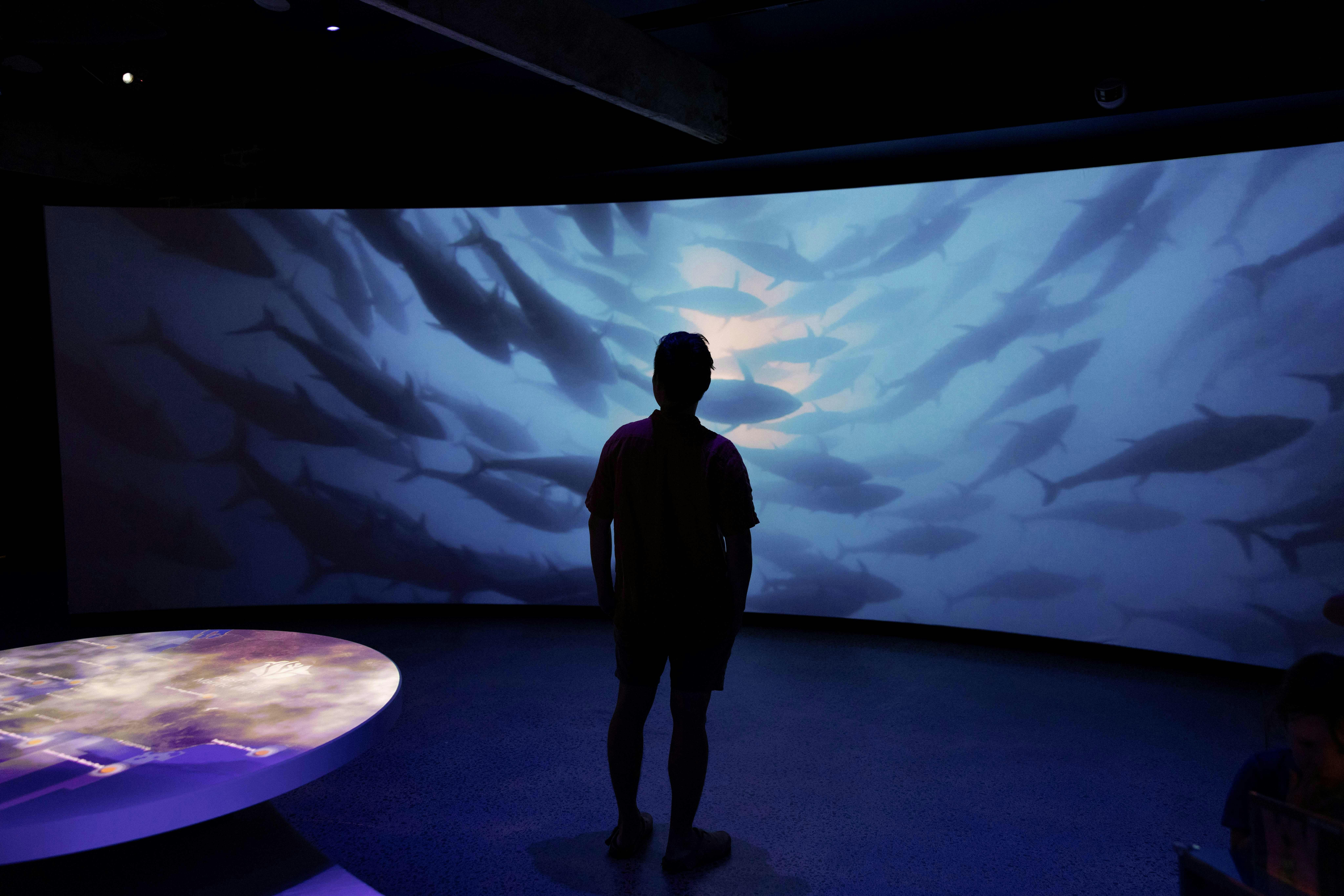 Busselton Jetty Marine Discovery Centre