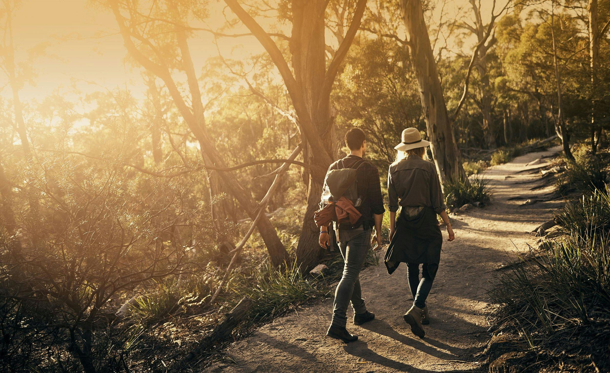 A tree-lined pathway with a couple walking alongside a setting Tasmanian sun
