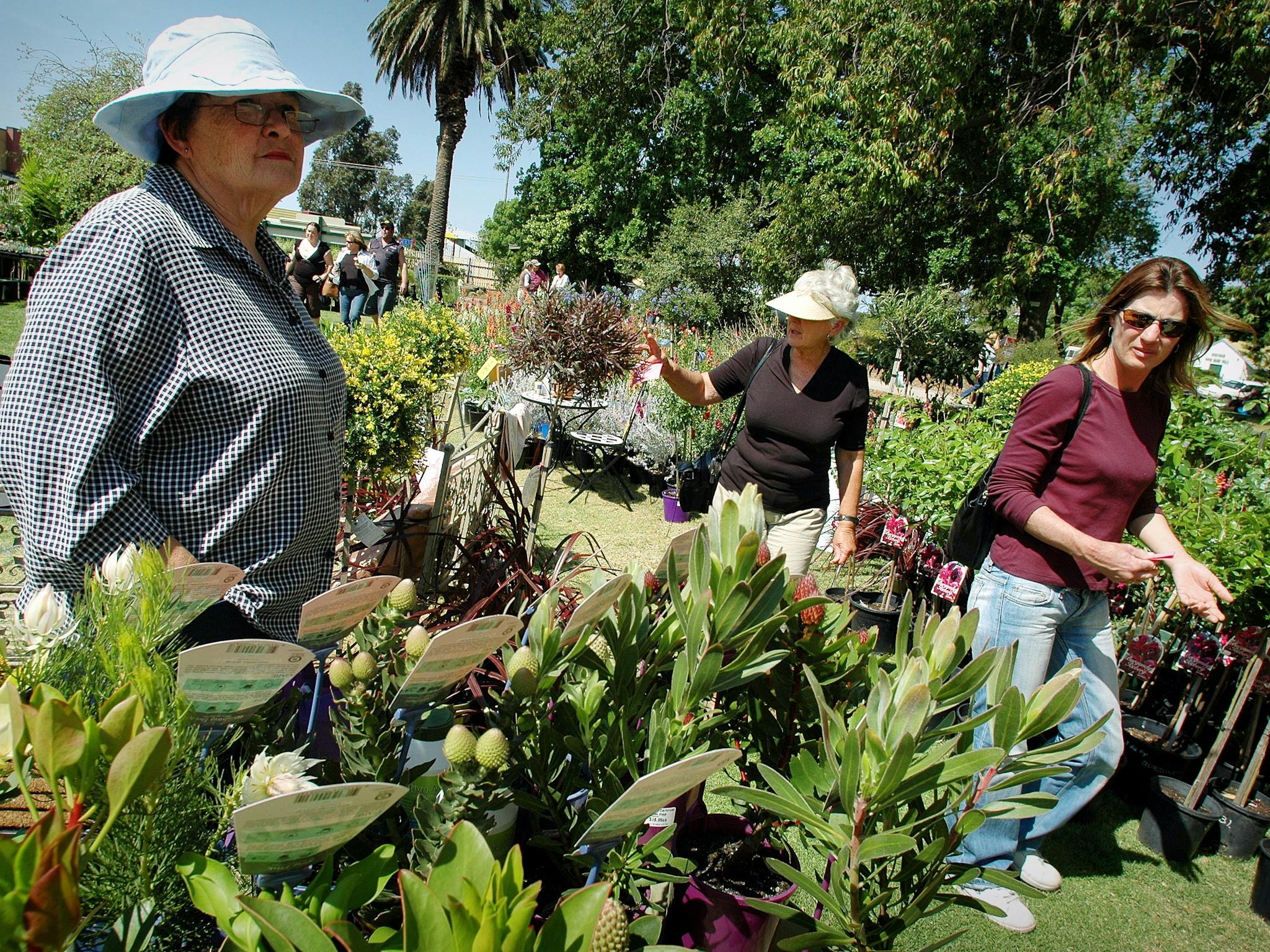 Horsham Spring Garden Festival
