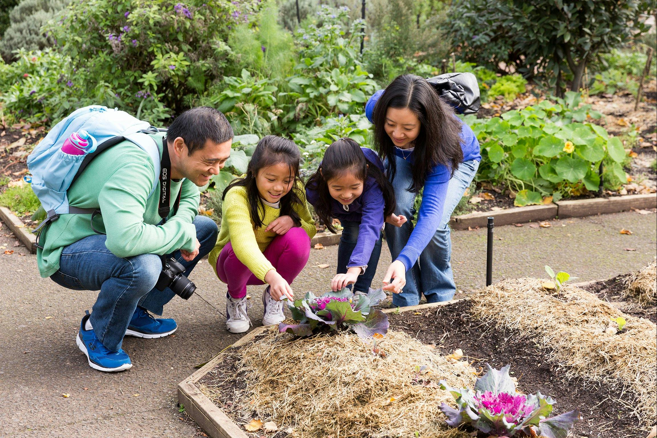 Enjoy the Cooks' Cottage garden