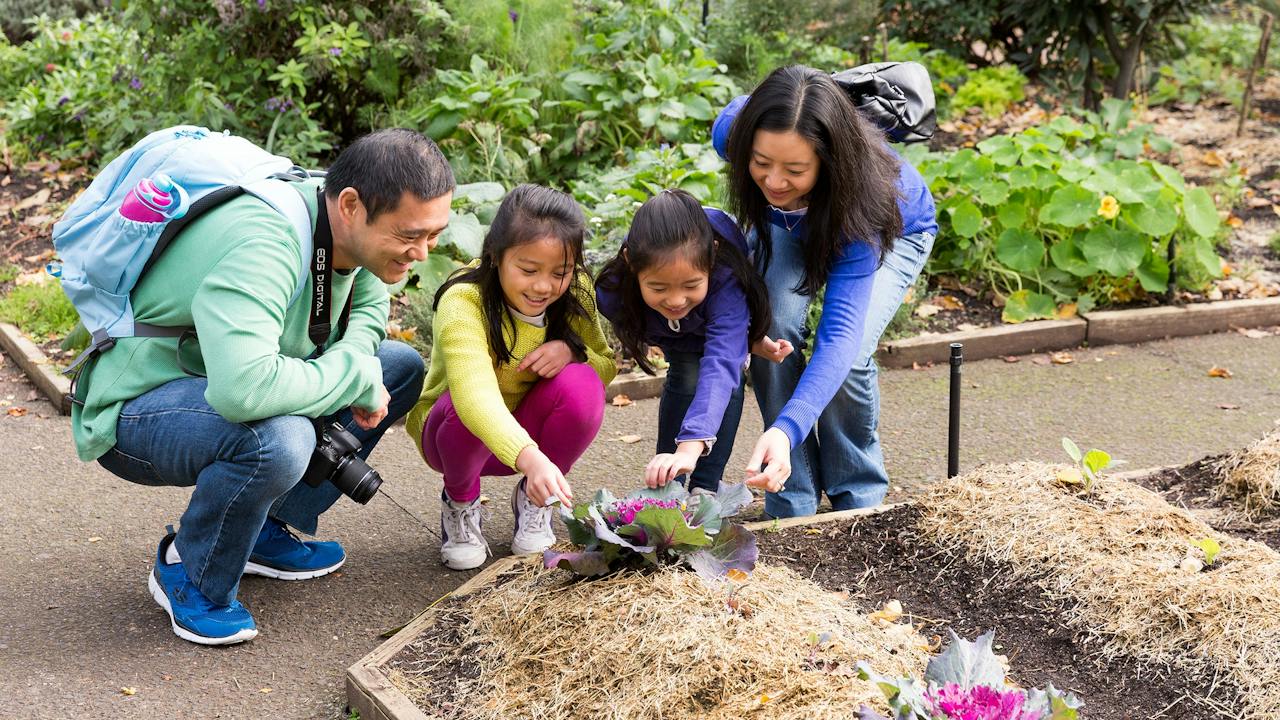 Enjoy the Cooks' Cottage garden