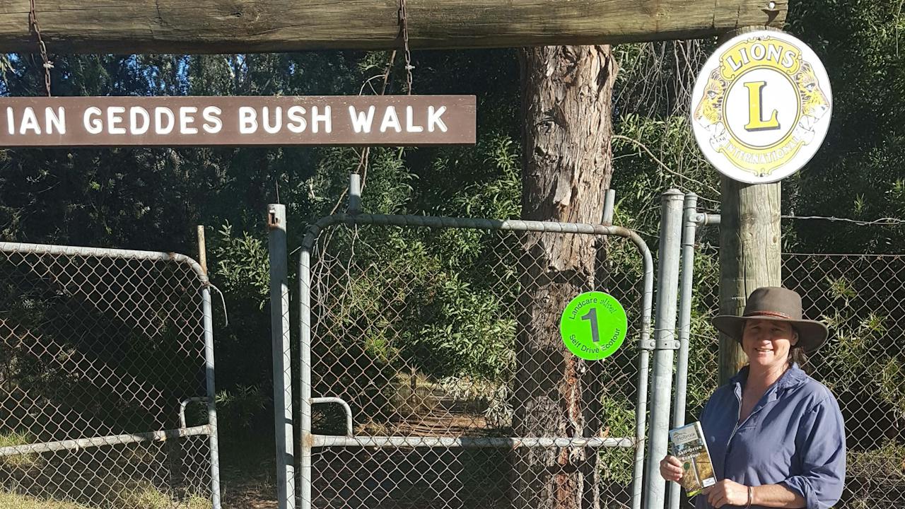 Explore the Ian Geddes Bushwalk in Holbrook
