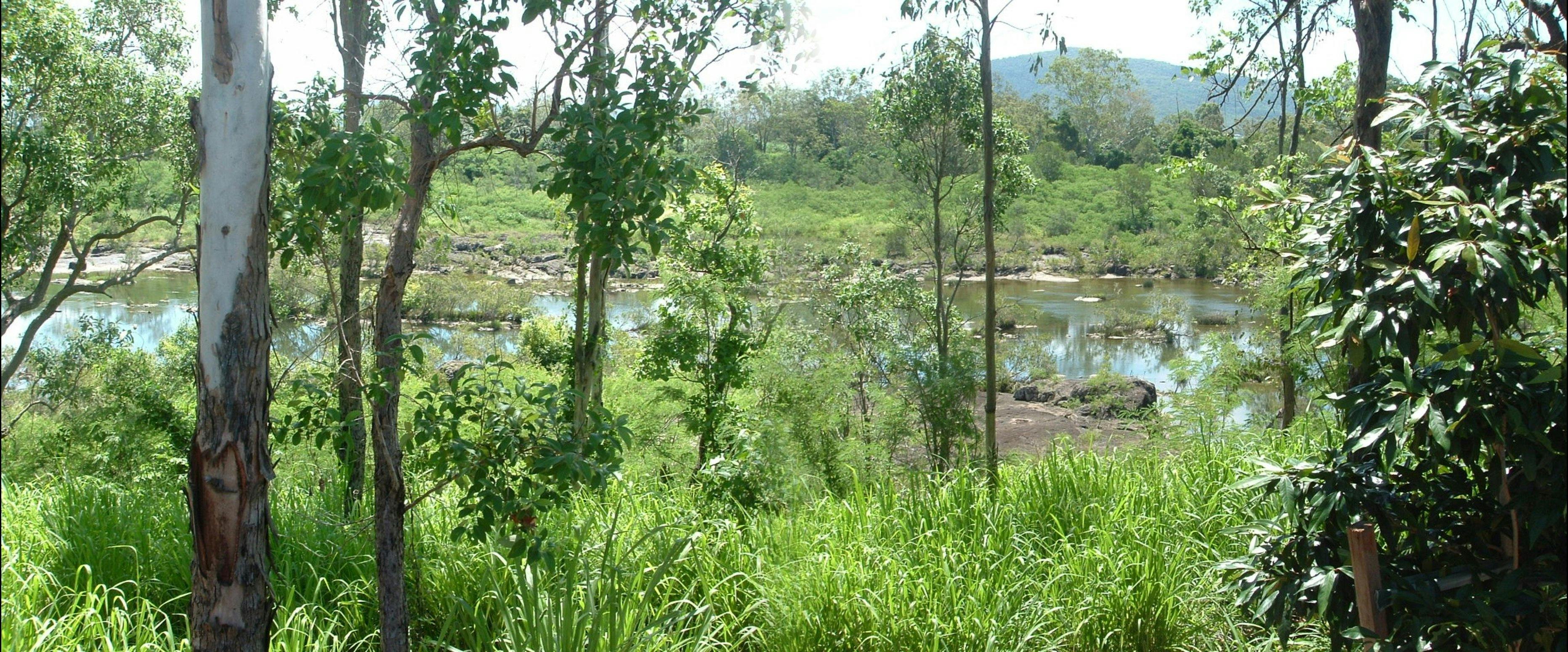 Pioneer River beside Melba House, Marian, Qld