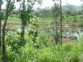 Pioneer River