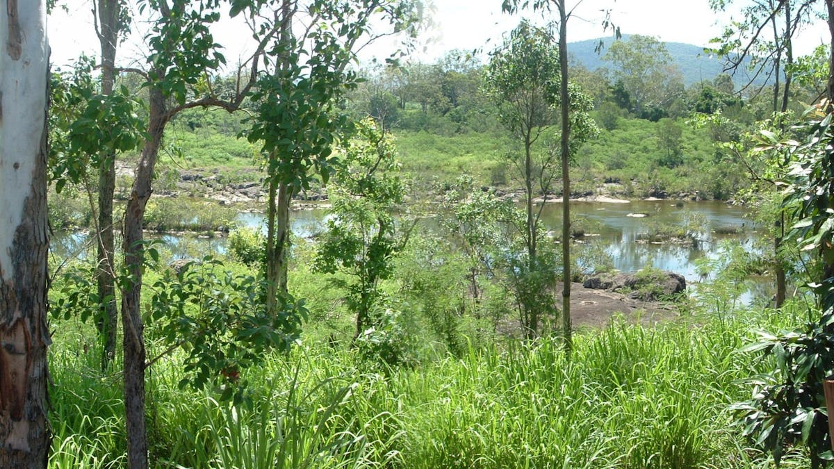 Pioneer River
