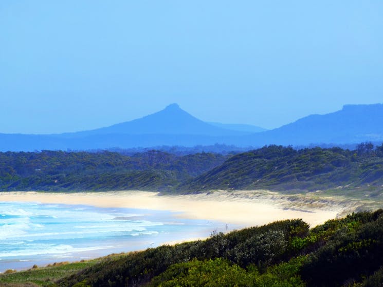 Pigeon House Mountain from Cudmirrah