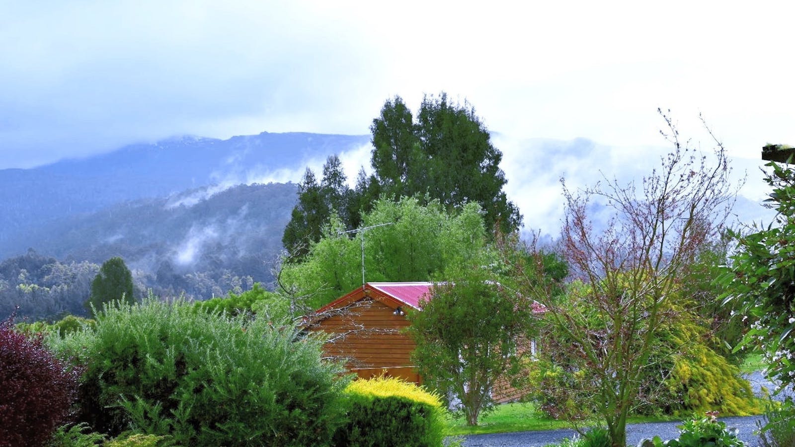 Cabin gardens and mountain views