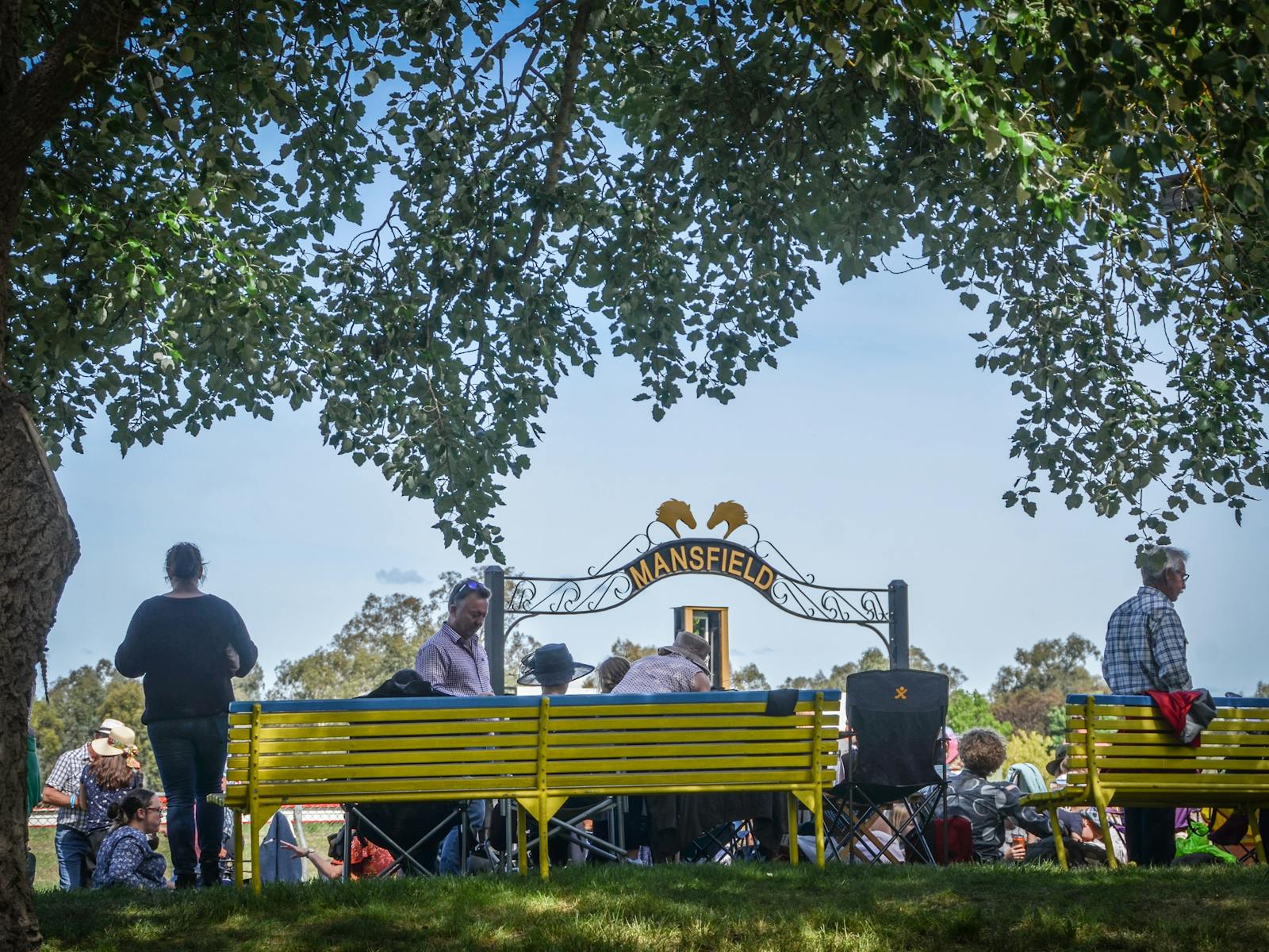 Image for Hygain Mansfield Cup Picnic Races