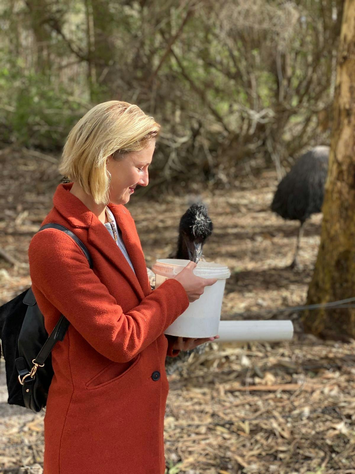 Want some fun? Feed emus and alpacas