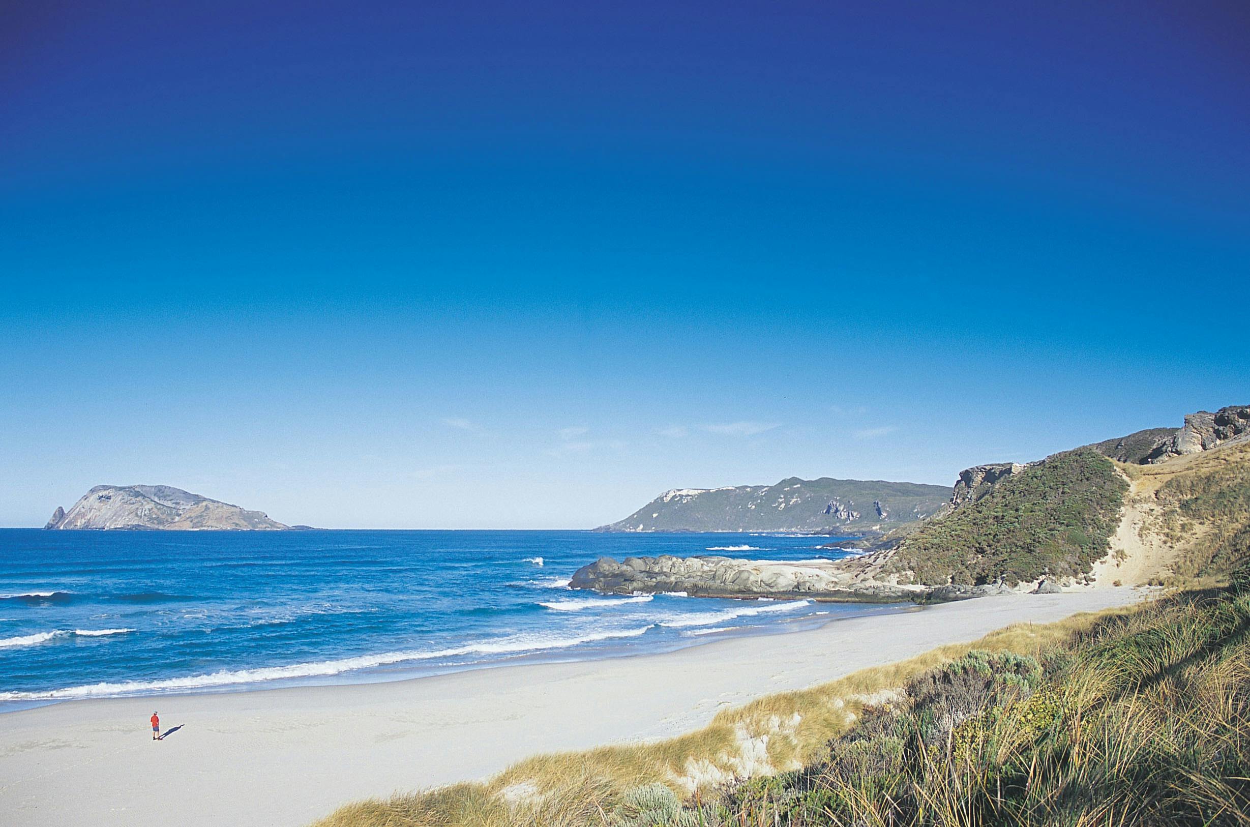 Jarrahland Wildflower Trail, Windy Harbour, Western Australia