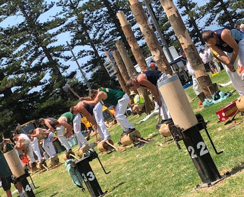 Woodchop competition at Kiama Show