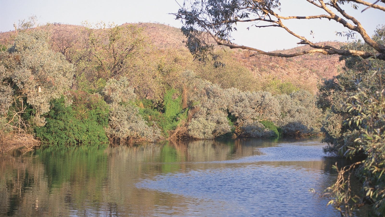 Alligator / Crocodile Hole