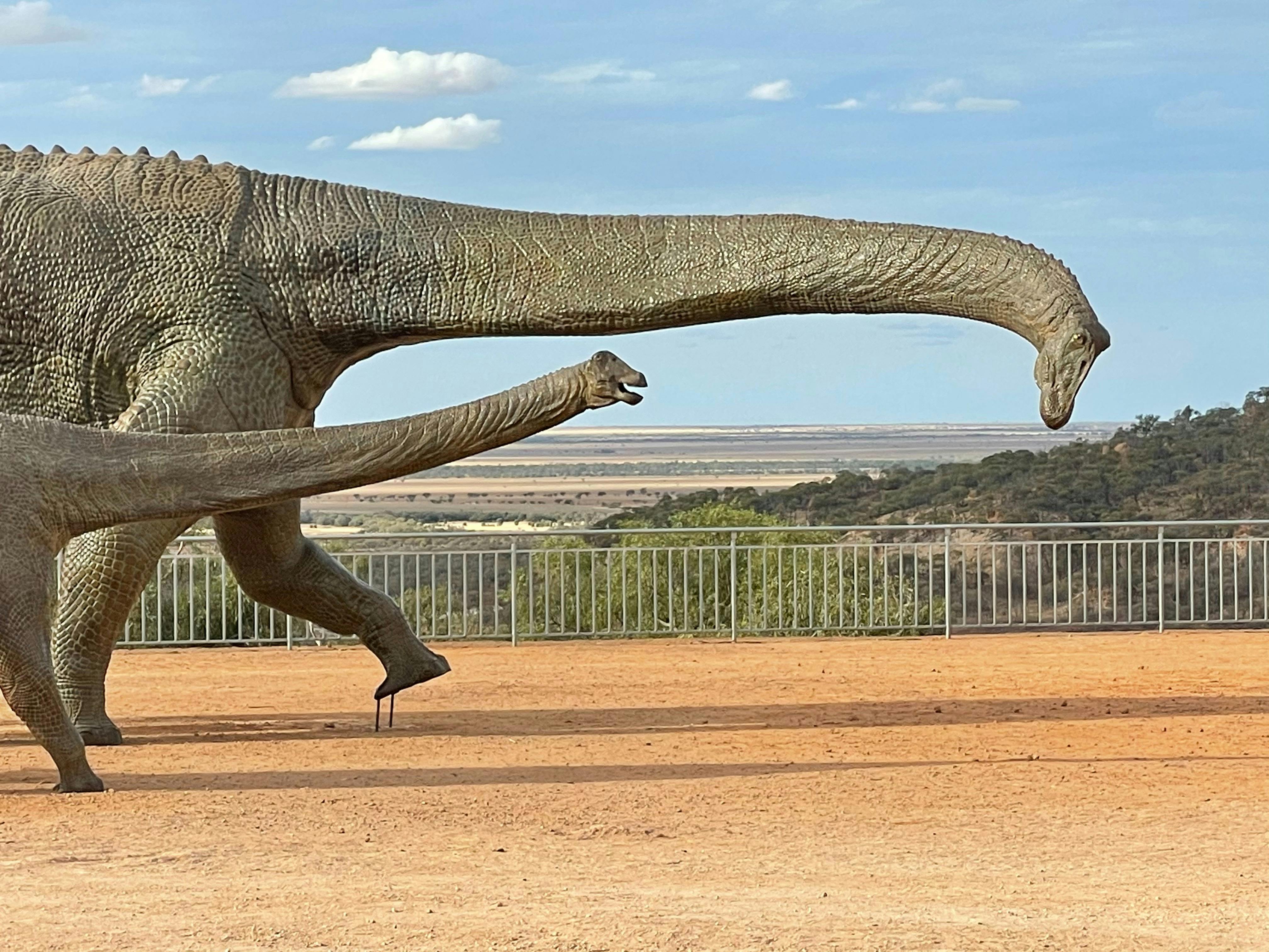 Australian Age of Dinosaurs Museum, Sauropods