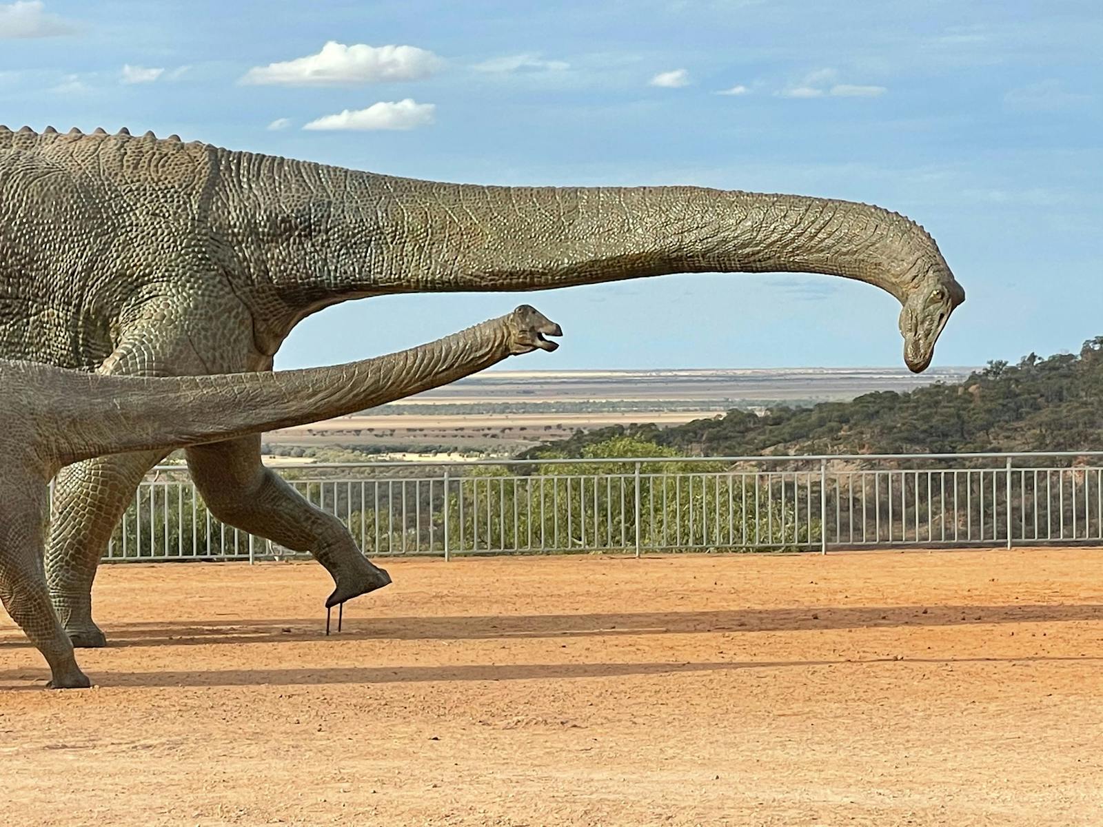 Australian Age of Dinosaurs Museum, Sauropods