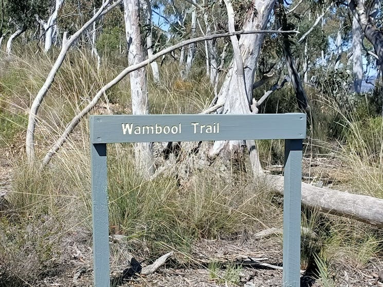 Bushwalking, Bathurst, Wambool, Birdwatching, Nature