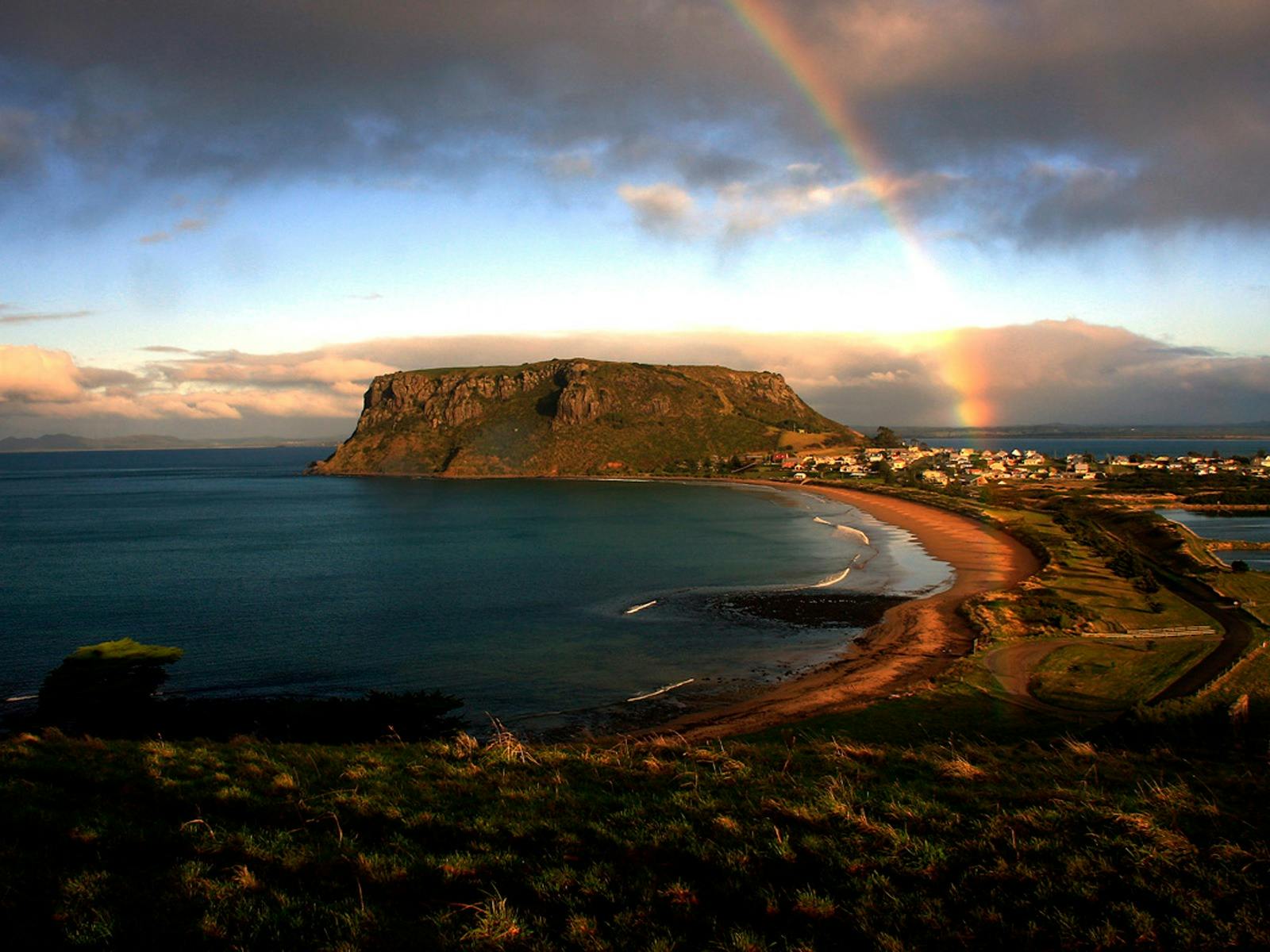 Forage Festival - Stanley Rainbow