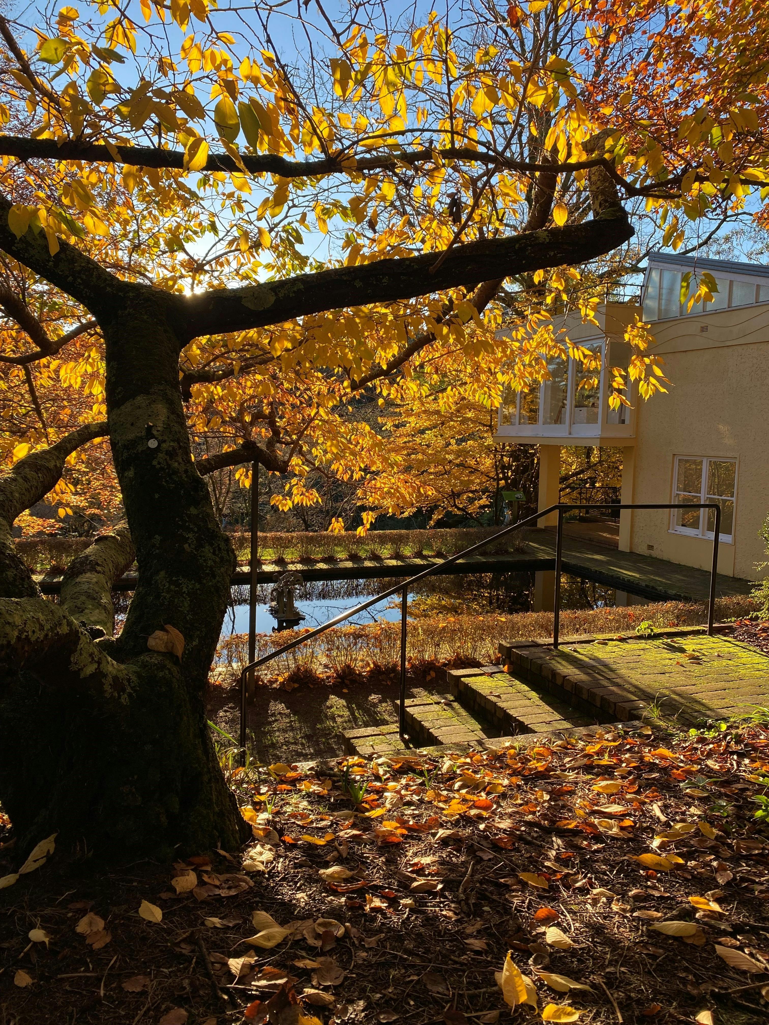 Squash courts now Art Gallery