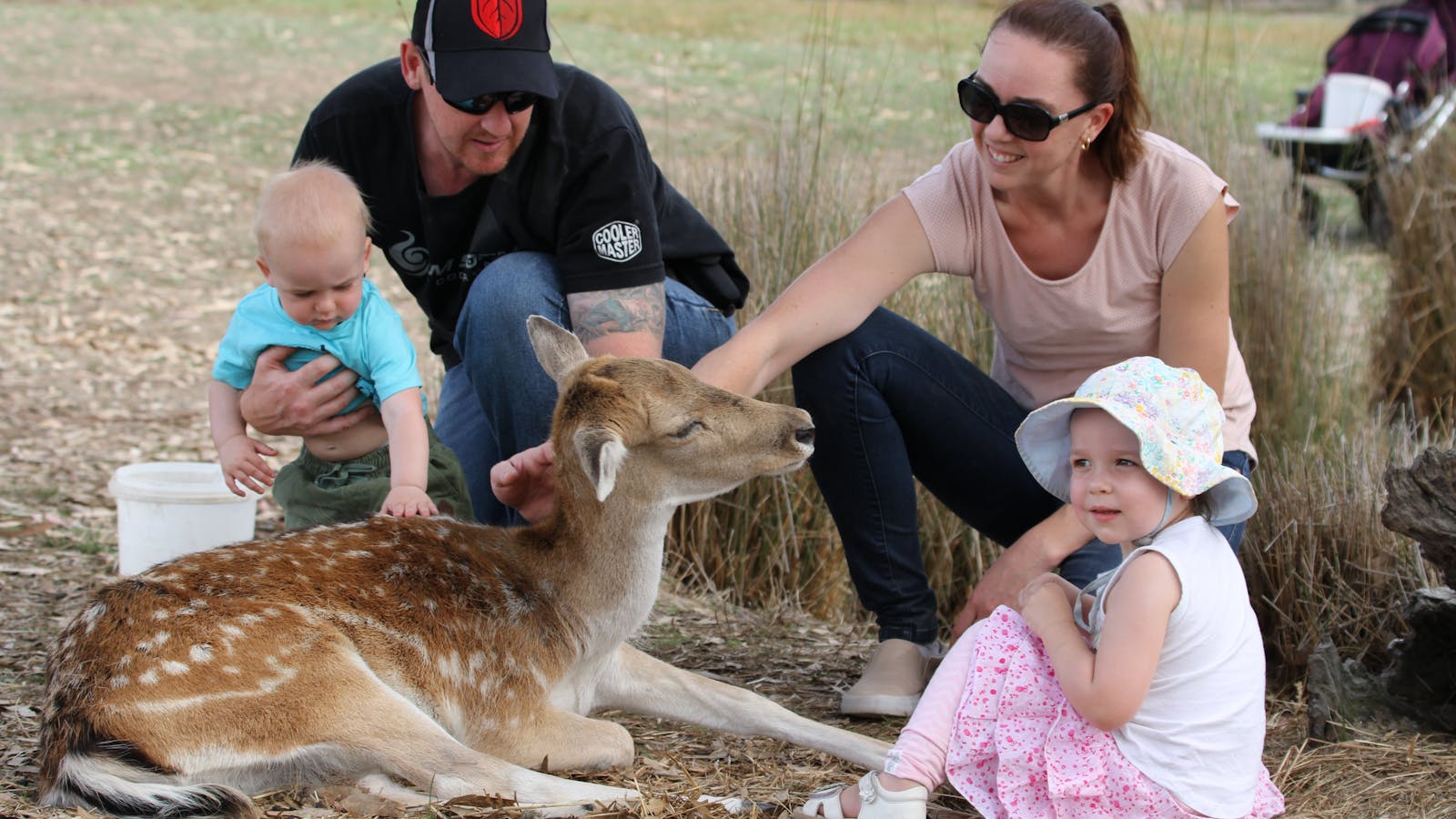 Mansfield Zoo