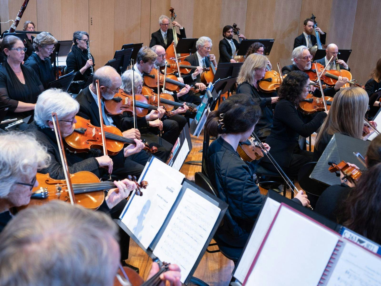 String section of the SHSO performing on stage