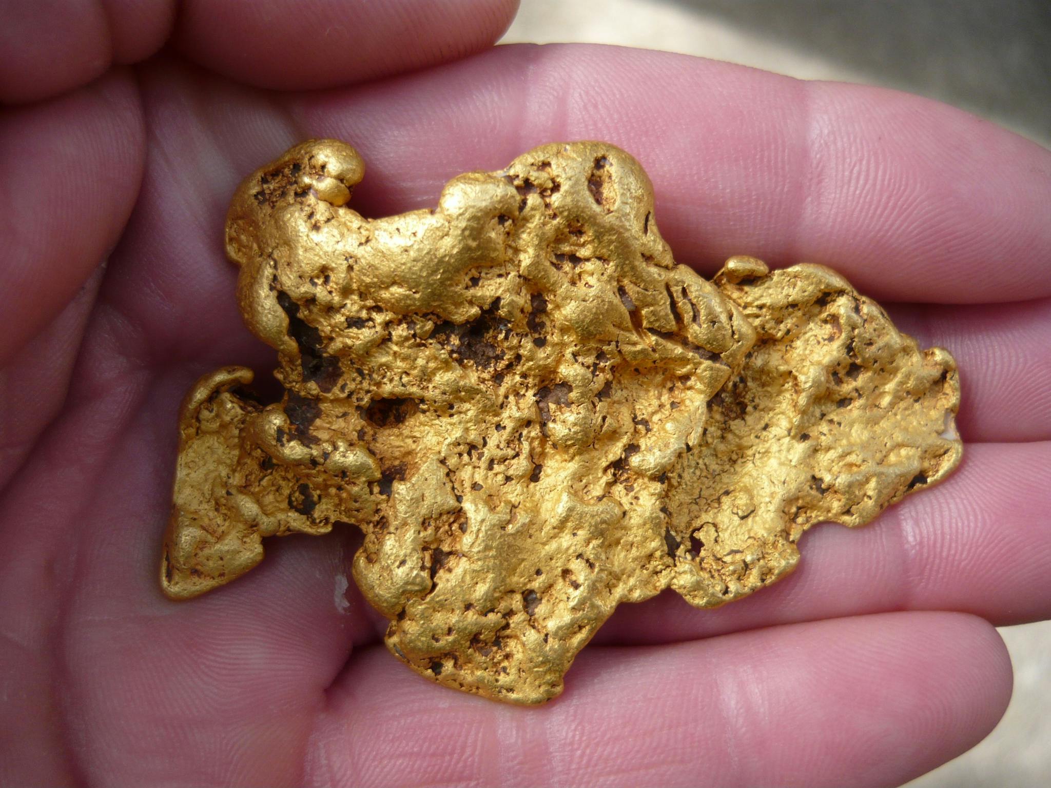 gold prospecting tours