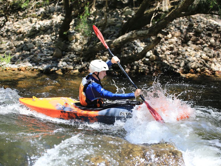 White water kayaking on the Barrington River with  Barrington Outdoor Adventures