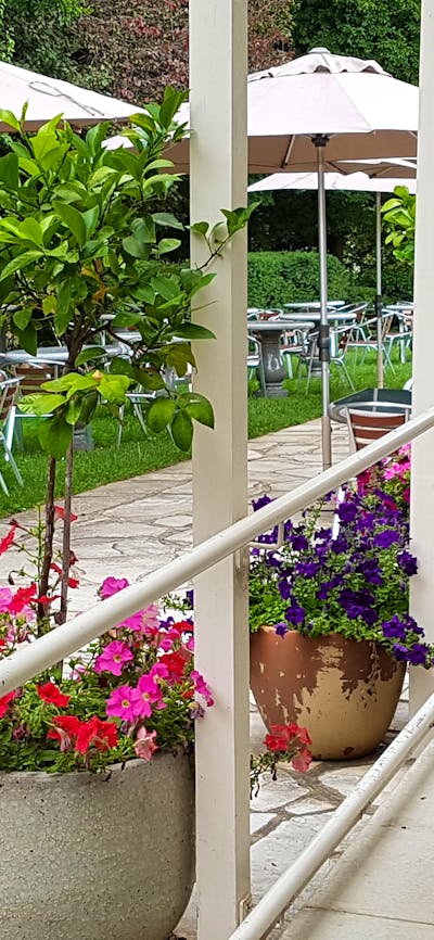 Enjoy the ambiance of the gardens