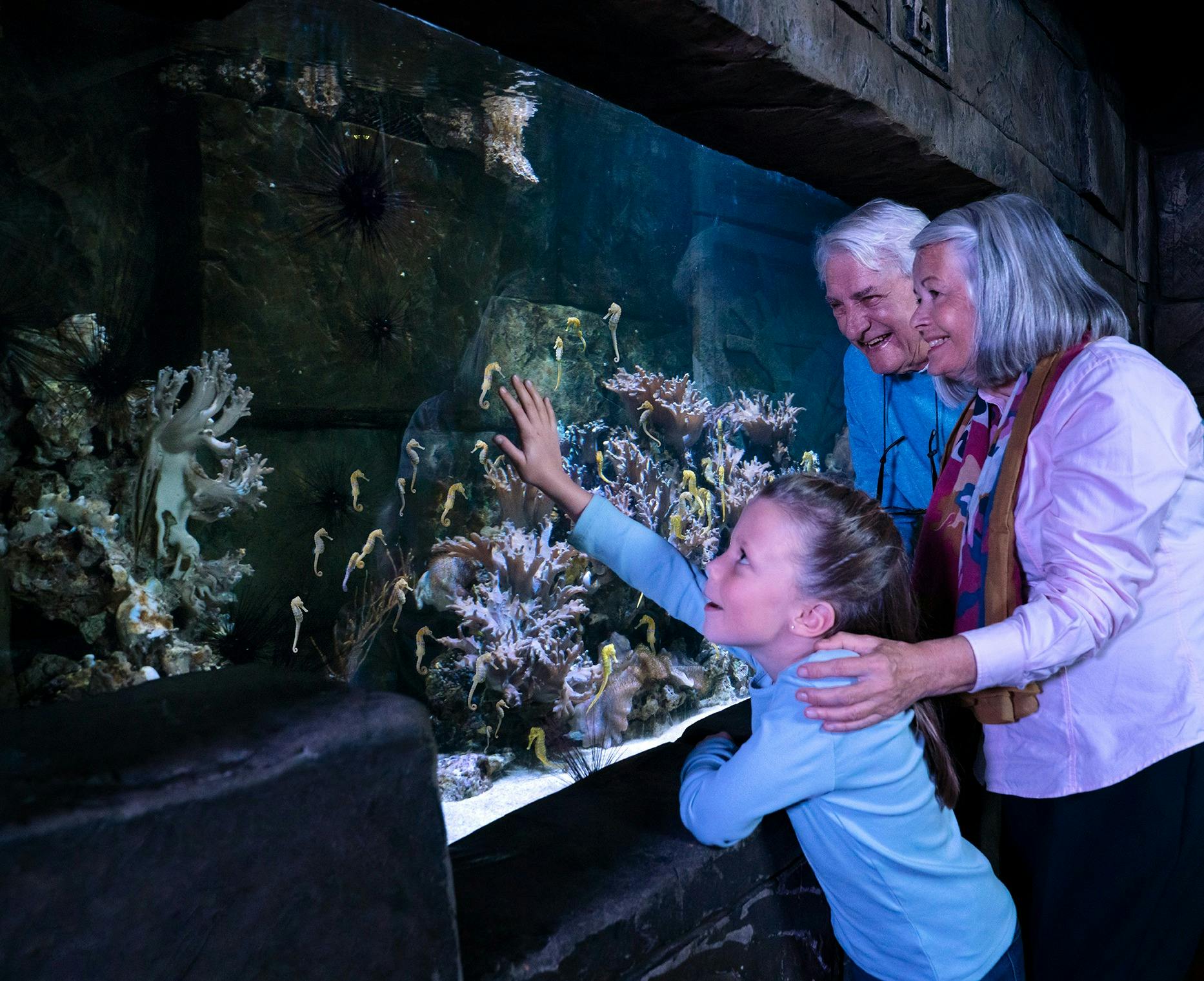 Großeltern und Enkelkind erfreuen sich an den Meerestieren im SEA LIFE.