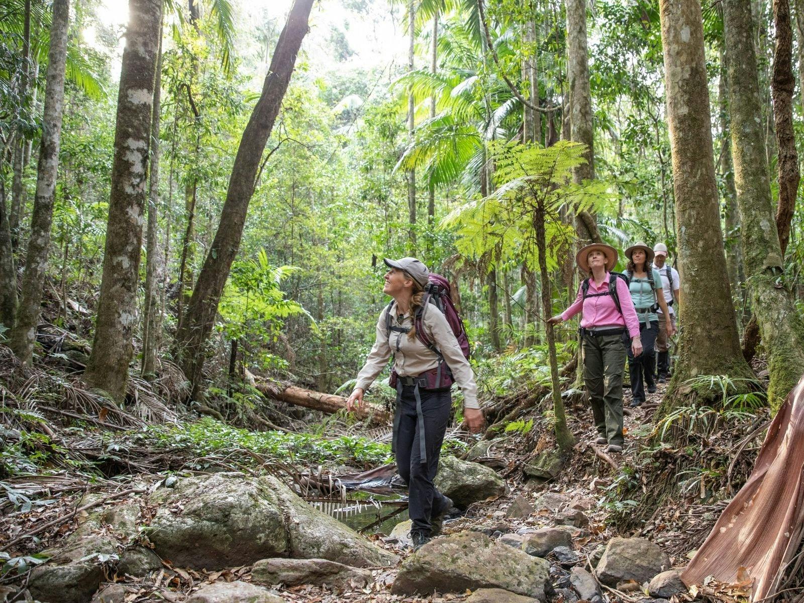 Scenic Rim Trail Scenic Rim Trail