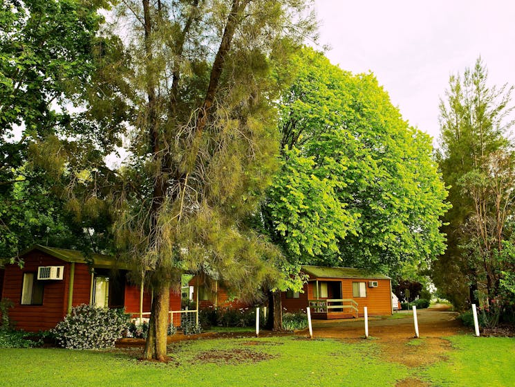 Mudgee Riverside Caravan Park - Cabin