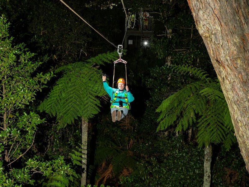Image for After Dark Zipline Tour at Illawarra Fly Treetop Adventures
