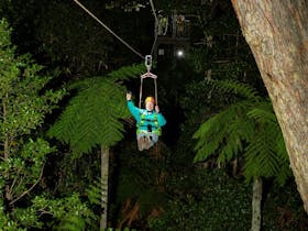 After Dark Zipline Tour at Illawarra Fly Treetop Adventures