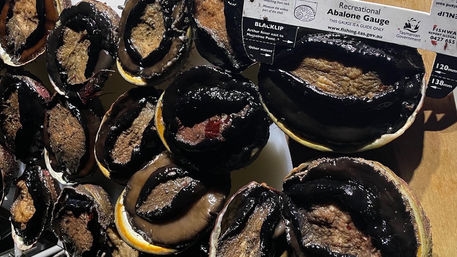 Want to dive into cold waters and harvest abalone as a certified diver? We’ve got you covered!