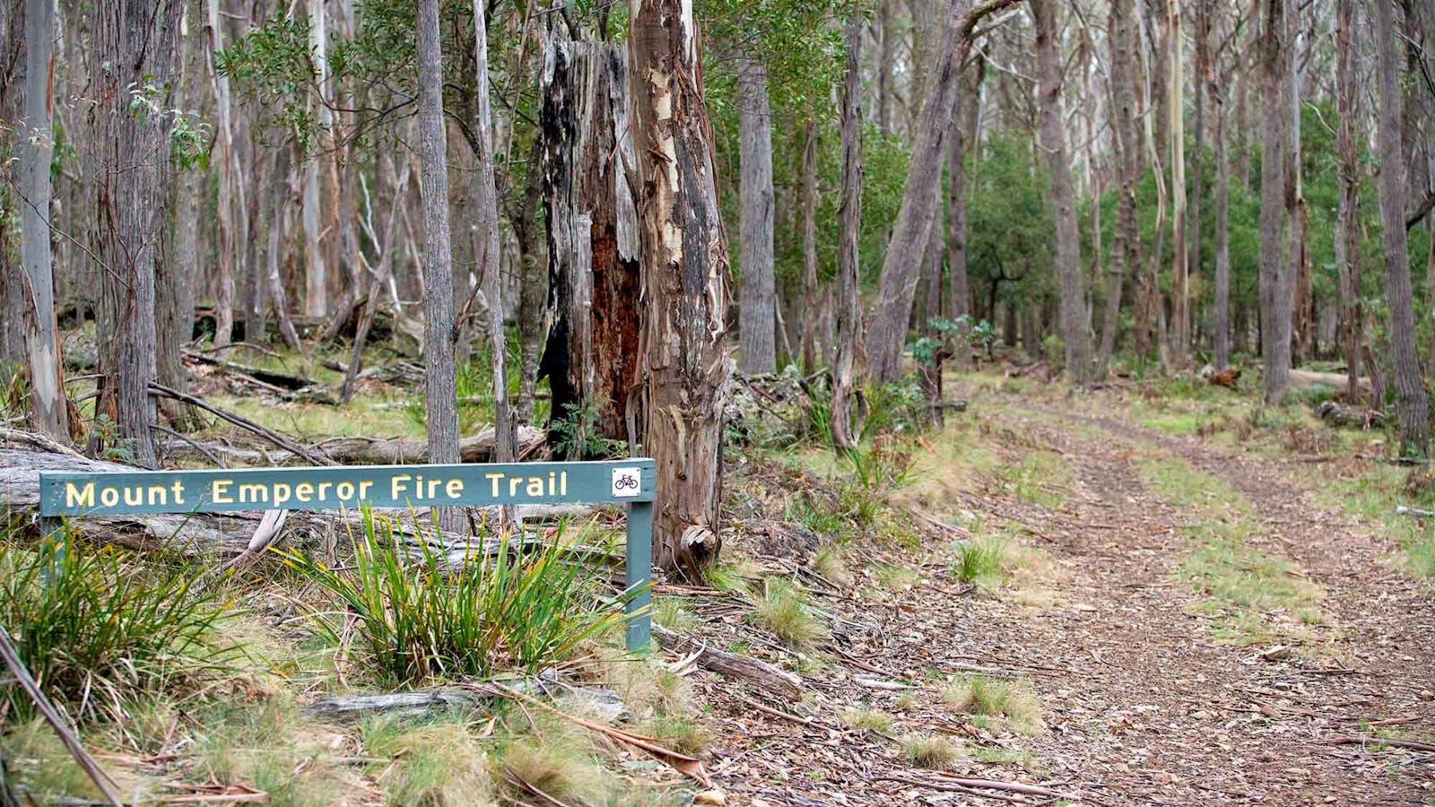 Mount Emperor Loop