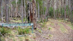 Mount Emperor loop, Kanangra-Boyd National Park. Photo: Nick Cubbin