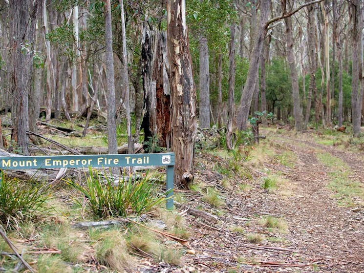 Mount Emperor loop, Kanangra-Boyd National Park. Photo: Nick Cubbin