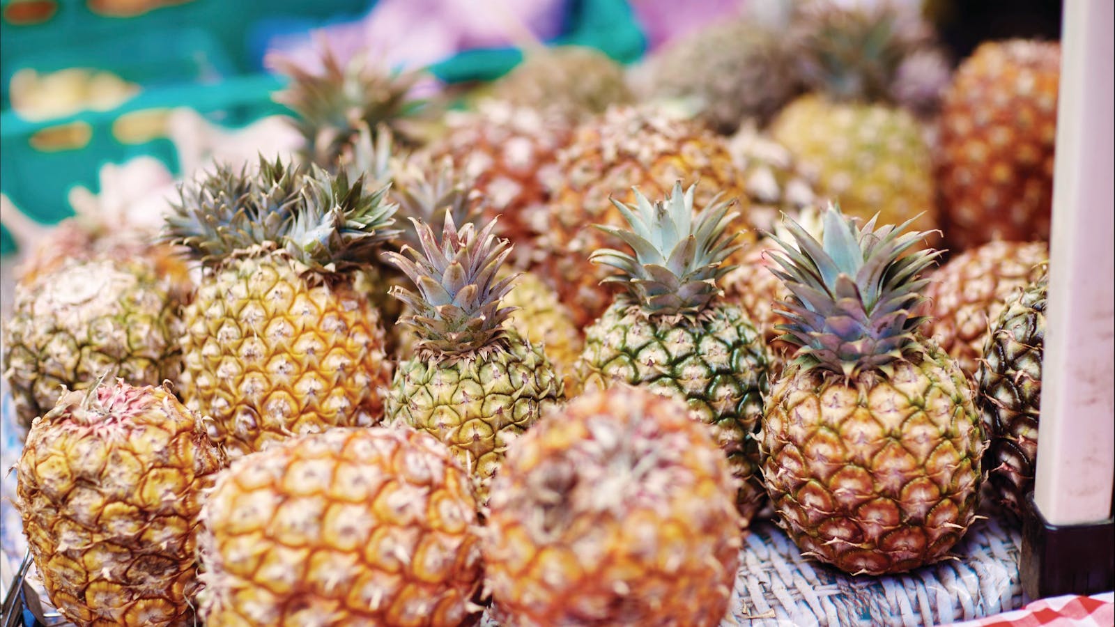 Sunshine Coast Food Trail