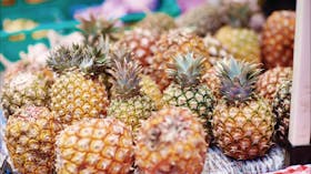Sunshine Coast Foodie Trail