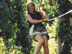 Forest Flying